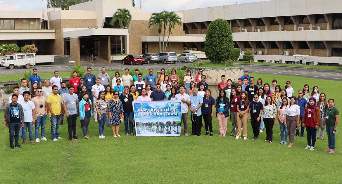 IRRI Education opens three courses on rice research, breeding, and sustainable cultivation