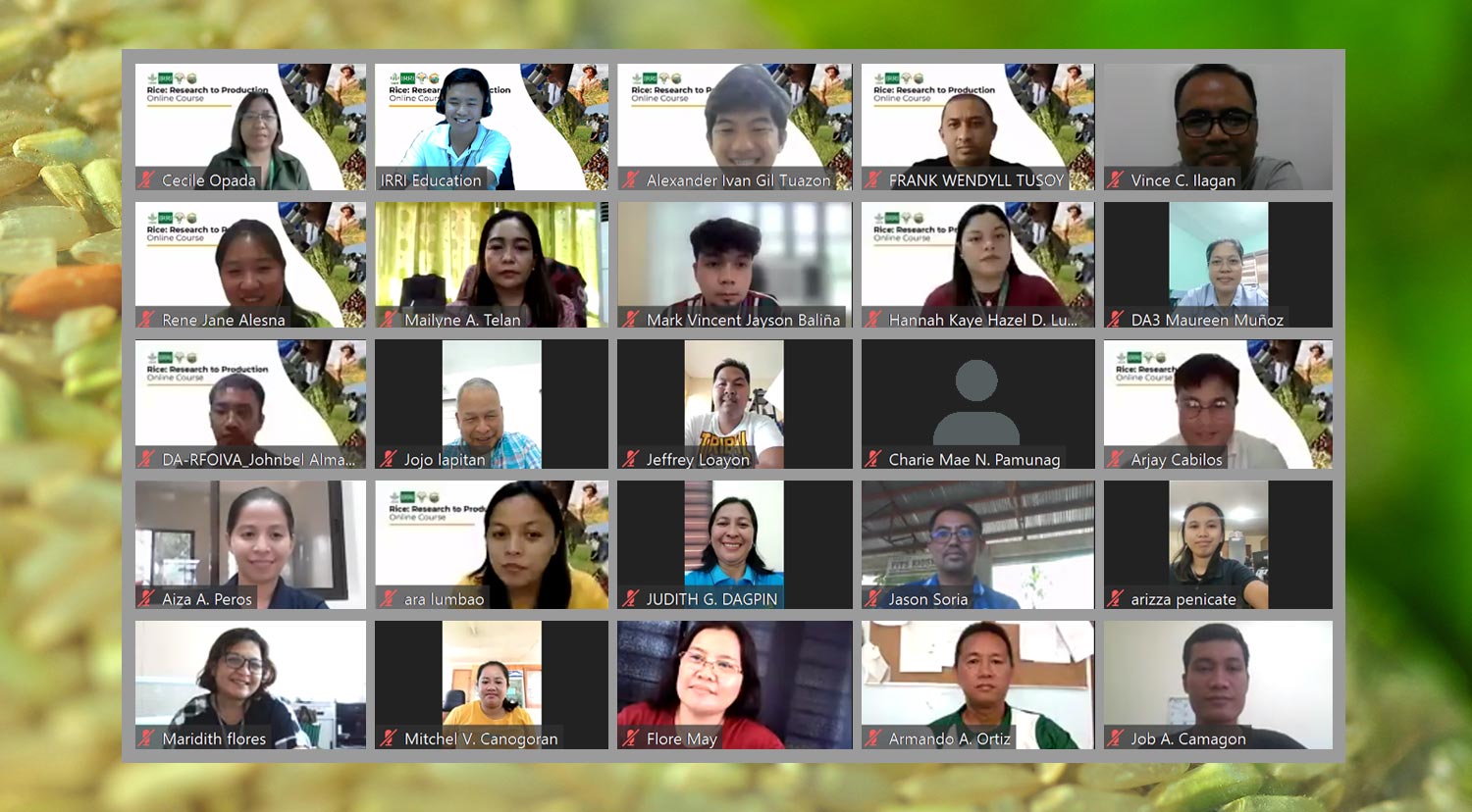 DA-IRRI SERVE RR2P 6th RO concludes with 49 completers